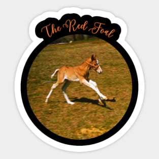 The Red Foal Sticker